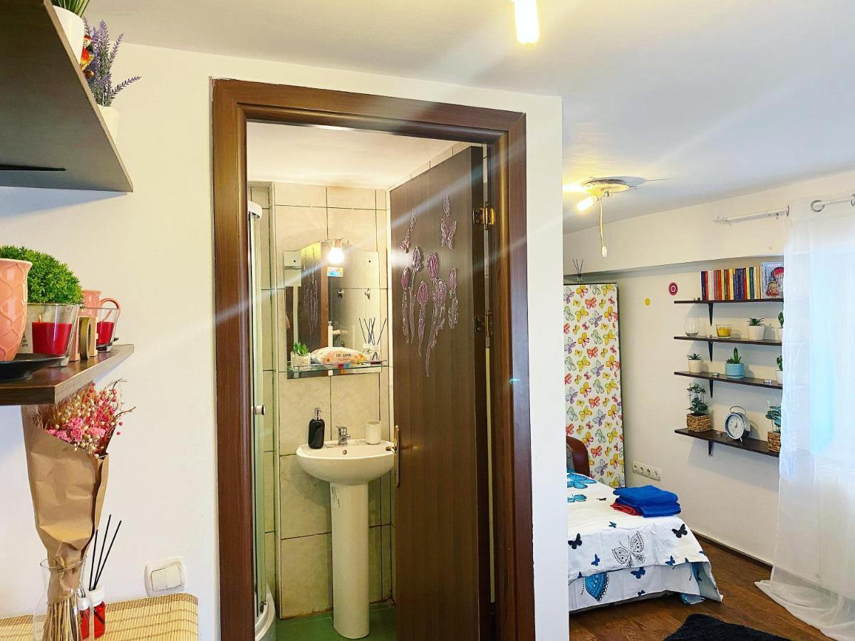 公寓 Casa Andu