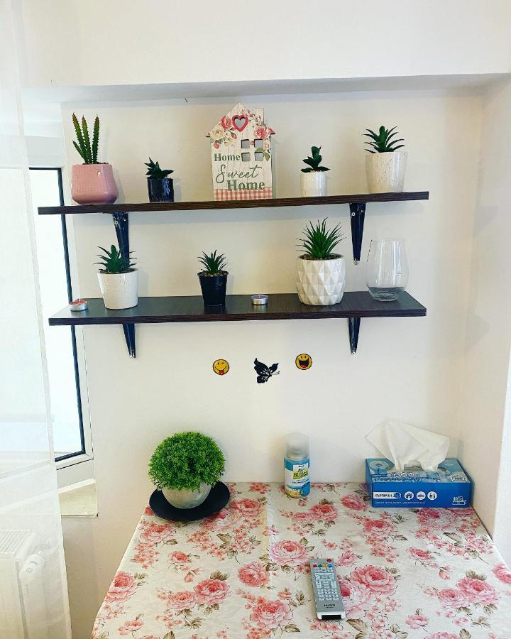 公寓 Casa Andu 布加勒斯特